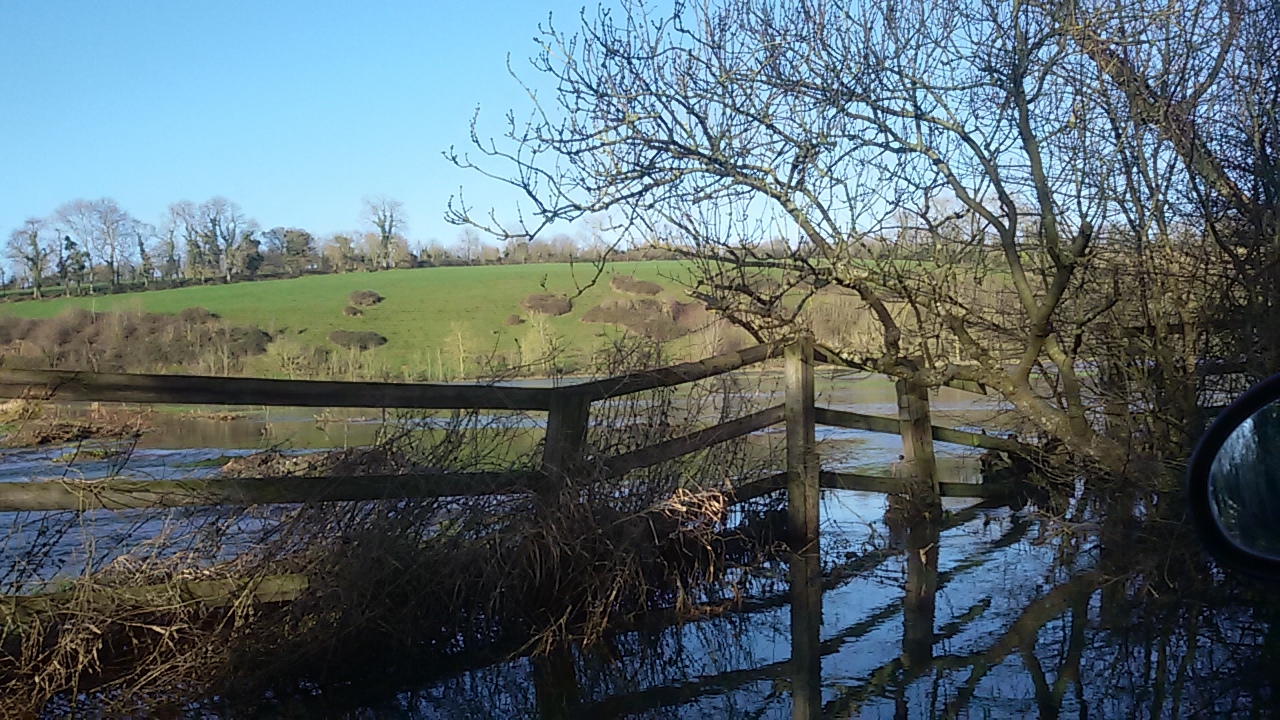 Le marais, au pied de Mandeville-en-Bessin