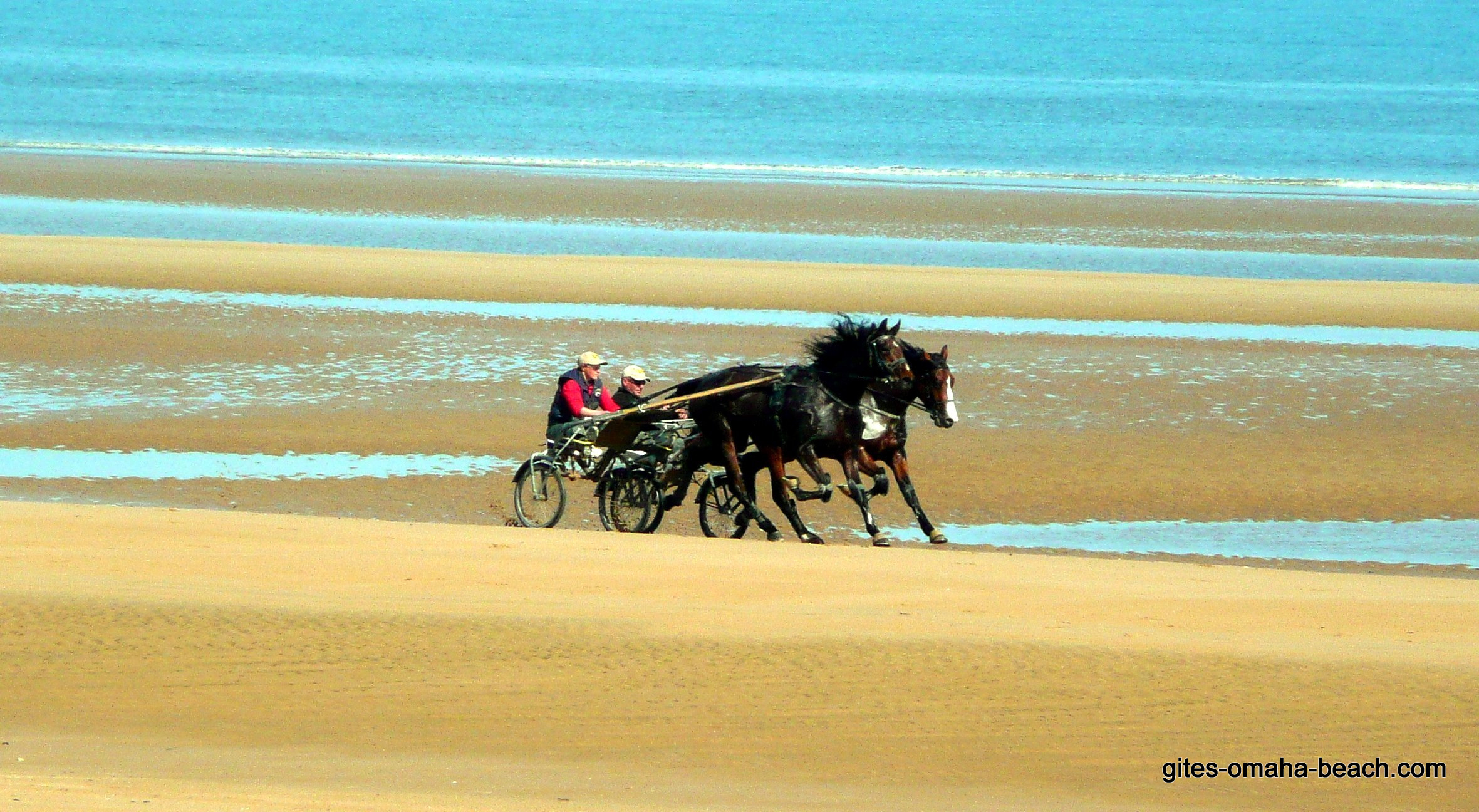 Chevaux s'entraînant sur la plage d'Omaha Beach à Vierville-sur-mer